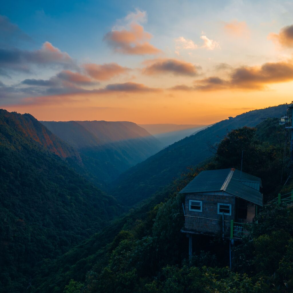 Nature Image